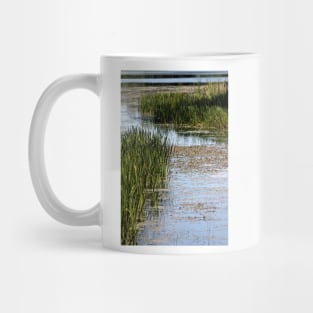 Serpentine Marsh Mug